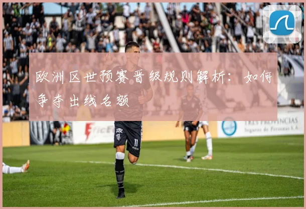 欧洲区世预赛晋级规则解析：如何争夺出线名额