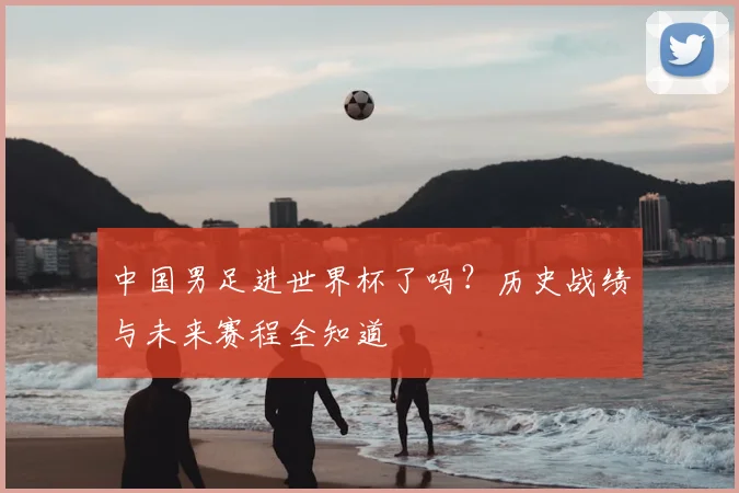 中国男足进世界杯了吗？历史战绩与未来赛程全知道