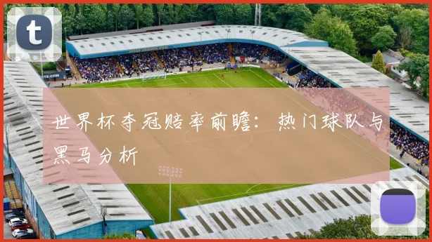 世界杯夺冠赔率前瞻：热门球队与黑马分析