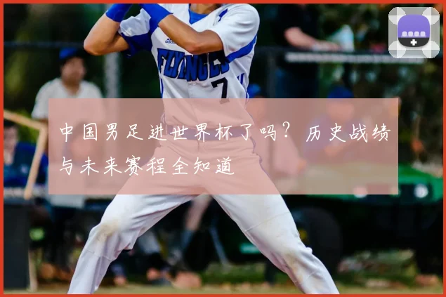 中国男足进世界杯了吗?历史战绩与未来赛程全知道